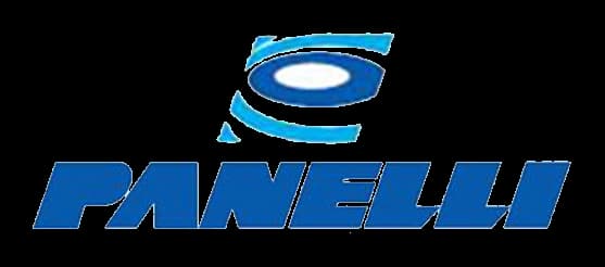 Логотип PANELLI